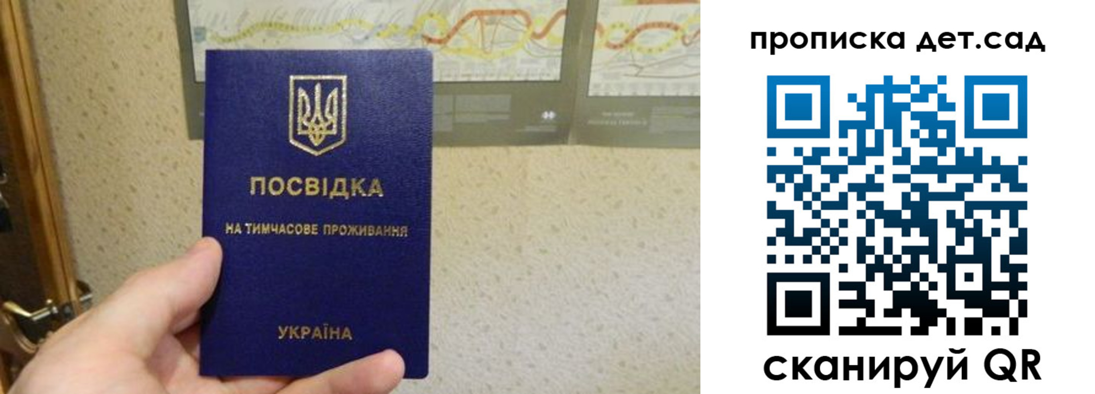прописка для школы в Апатитах